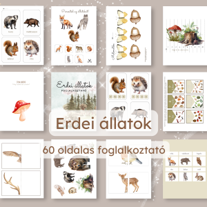 🦉 Erdei állatok – 60 oldalas foglalkoztató