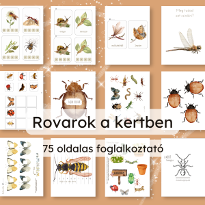 🐞 Rovarok a kertben – 75 oldalas foglalkoztató