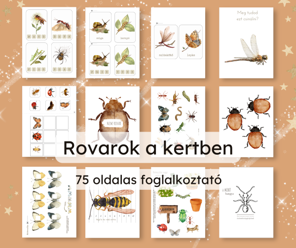 🐞 Rovarok a kertben – 75 oldalas foglalkoztató