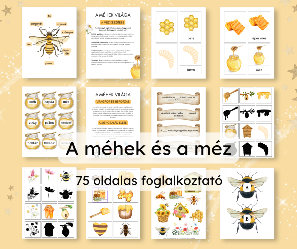 🐝 A méhek és a méz – 75 oldalas foglalkoztató