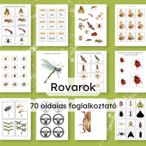 🐞 Rovarok a kertben – nyomtatható foglalkoztató (70 oldal)