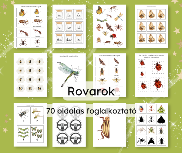 🐞 Rovarok a kertben – nyomtatható foglalkoztató (70 oldal)