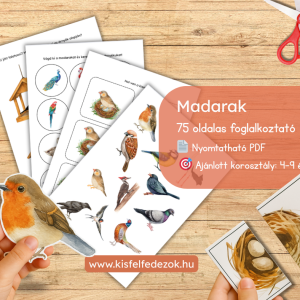 🐦 Madarak – Nyomtatható foglalkoztató gyerekeknek (PDF – 75 oldal)