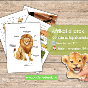 🦁 Afrikai állatok foglalkoztató (100 oldal)